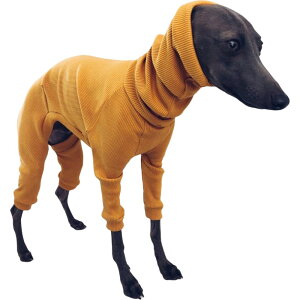  hbOEFA p[X C^A O[nEh C^O OX[u ^[glbN u XtBbg  ybgpi ^ Ȃ Jo[I[  