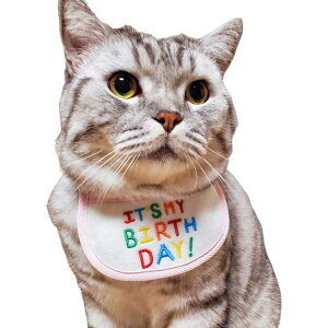  ybgpX^C LpX^C p LbgEFA 悾ꂩ ru L  lR Lbg Ck hbO ybgpi At@xbg p a o[Xf[ j NX}X hJ p