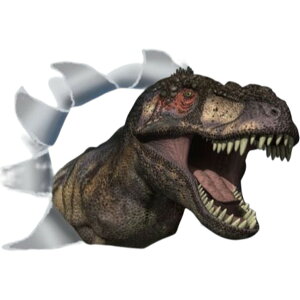  EH[XebJ[ ǎV[ EH[V[ gC Ƌ KX ^C   CeA DIY t 킢 L Aj}   gbNA[g A 