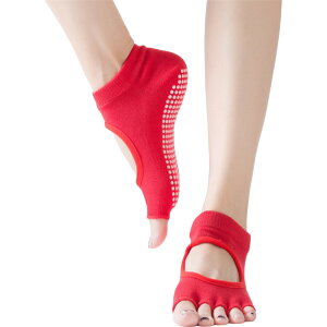  K\bNX 5{w\bNX C ~ ܐȂ fB[X   bOEFA wȂ K seBX _X W Xgb` PF n Vv   