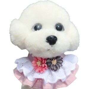  ybgpX^C 悾ꂩ XJ[t o_i  L ^ ^ [X t  ANZT[  hbOEFA  ru `[J[ ^b`obN TCY