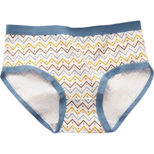 送料無料 スタンダードショーツ レディース インナー 女性 中学生 高校生 大学生 大きいサイズ パンツ 下着 レース チェック柄 アイス カップケーキ プリント柄 ギザギザ パンティー 可愛い