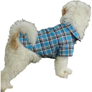  ybgEFA hbOEGA Vc  `FbN ݕt  ̕ L OJ Xibv{^ MK`FbN 킢 L[g  JWA lR 