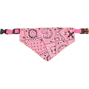  ybgpo_i XJ[t X^C 悾ꂩ p Lp  `[J[ ybgpi ^  킢 ߂ ANZT[ U o Mtg v[g 