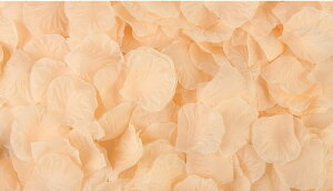  t[V[ Ԃт 1000Zbg    o A[gt[ t[y^ fR[V Ԑ  EGfBO p[eB Cxg TvCY DIY J