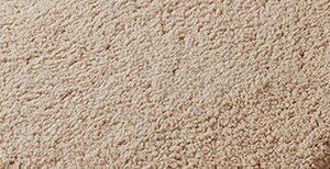  փ}bg 60×40cm tA}bg gC}bg oX}bg ʏ}bg J[ybg   rO xbh[ oX[ Eߏ q Vv n ӂӂ ~