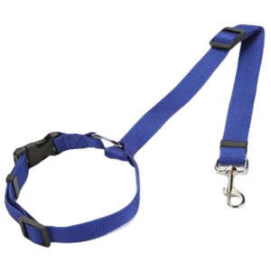  pV[gxg [h xgR wbhXg ԗpi ԗp[h ybgObY ybgpi hCu AEghA  L hbO Lbg ߉ R [V o L