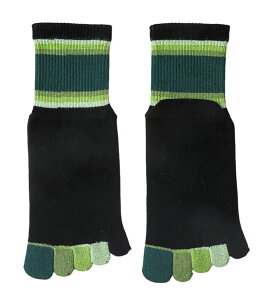  qp 5{w\bNX LbY WjA N[\bNX ܖ{wC Jt J[ubN ̎q j̎q ΍ }`{[_[  