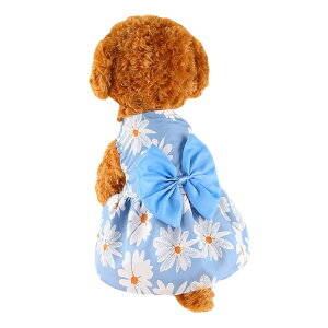  hbOEFA ybgEFA s[X ybgp ^  Ck  t  H ߂ o U Ă΂ { XJ[g ԕ C`S Ȃ 킢 L[g TC