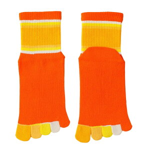  qp 5{w\bNX LbY WjA N[\bNX ܖ{wC Jt J[ubN ̎q j̎q ΍ }`{[_[  