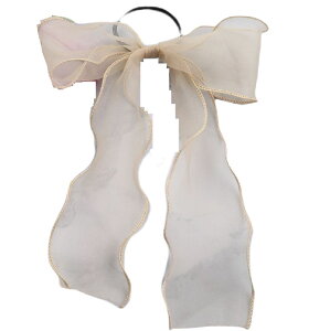  wAS fB[X wAANZT[ { VA[ 傫 Ԃ VtH t[ ԕ rbO fފ 킢  ANZg tF~j lq  v[g