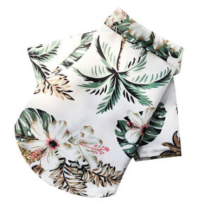  hbOEFA AnVc  L ybgpi Lbg ^  O Xibv{^ nCrXJX pCibv V̖  킢 gsJ 썑 o