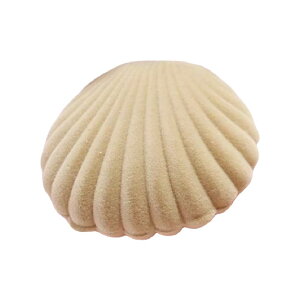  Mtg{bNX WG[P[X OP[X v[g{bNX sAXP[X lbNX w VF^ Lk 蕨 a NX}X o^Cf[ zCgf[ 