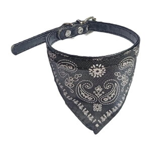  ybgpo_i X^C XJ[t p Lp 悾ꂩ  J[  `[J[ xg ߉\ ybgpi DJ ߂ U   ybgObY C