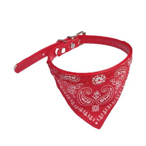  ybgpo_i X^C XJ[t p Lp 悾ꂩ  J[  `[J[ xg ߉\ ybgpi DJ ߂ U   ybgObY C