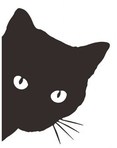  EH[XebJ[ ǃXebJ[ ǎV[ V[ [fR[V EH[fR[V L lR L  I  \tȒP DIY t ǖʑ Ǒ 