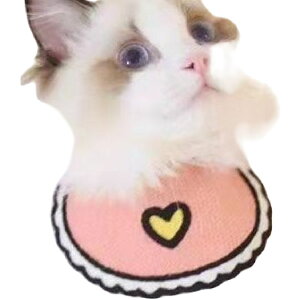 �������� �y�b�g�p�X�^�C �悾�ꂩ�� �r�u �y�b�g�p�i �� �L ���� �˂� ����� �H�ו����`�[�t �t���[�c �C�`�S ���i �A�j�}�� �g�� ���^�� ���^�� �X�g�b�p�[�t�� �R ���� ������� ���킢��