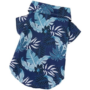  ybgpAnVc ybgpgbvX ybgEFA  hbOEFA ^ ^ L lR  OJ }WbN e[v ʃt@Xi[  [t t 썑 u[ l