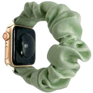  Apple Watchp xg rvoh VV^Cv ݊xg AbvEHb`p tւoh n JoLx 