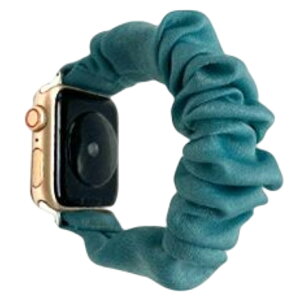  Apple Watchp xg rvoh VV^Cv ݊xg AbvEHb`p tւoh n JoLx 