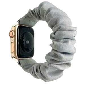  Apple Watchp xg rvoh VV^Cv ݊xg AbvEHb`p tւoh n JoLx 