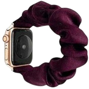  Apple Watchp xg rvoh VV^Cv ݊xg AbvEHb`p tւoh n JoLx 