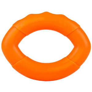  nhObv O^ ؃g  w ؗ g[jO GNTTCY b X|[c XgX  U