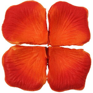  t[V[ Ԃт 100Zbg    o A[gt[ t[y^ fR[V Ԑ  EGfBO p[eB Cxg TvCY DIY J