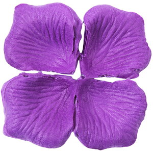  t[V[ Ԃт 100Zbg    o A[gt[ t[y^ fR[V Ԑ  EGfBO p[eB Cxg TvCY DIY J