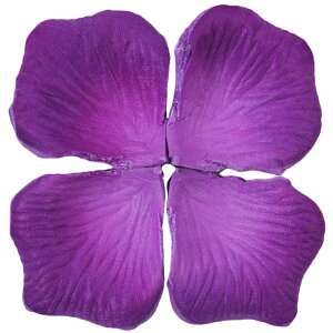  t[V[ Ԃт 100Zbg    o A[gt[ t[y^ fR[V Ԑ  EGfBO p[eB Cxg TvCY DIY J