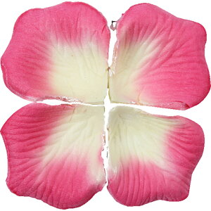  t[V[ Ԃт 100Zbg    o A[gt[ t[y^ fR[V Ԑ  EGfBO p[eB Cxg TvCY DIY J