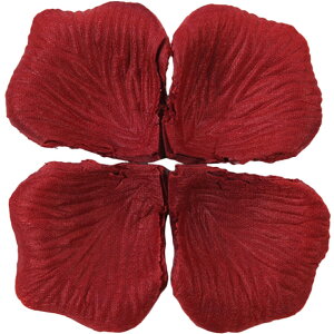  t[V[ Ԃт 100Zbg    o A[gt[ t[y^ fR[V Ԑ  EGfBO p[eB Cxg TvCY DIY J