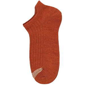  V[g\bNX Y C  Ԃ u gJ[ Vv C JoLx  j am i