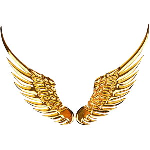  J[XebJ[ ԗpXebJ[  3DXebJ[ H ͂  Vg̉H GWF EBO ͂ nl J[fR {fBV[ B ւ݉B  O J[ANZT[ 