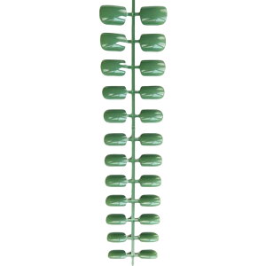  lC`bv  24Zbg 12TCY ̒ fB[X  lCA[g ZtlC nh    lq PF Vv lCObY