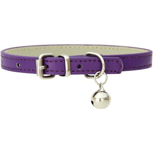   t J[ Lp p ybgpi xg^Cv ߉\ U[ Vv n x[VbN  tFCNU[ lRp Ckp U oV[ q΍ ybg