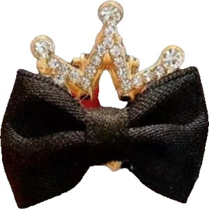  wANbv LbY q wAANZT[ oXNbv ~j CXg[ LL {  L  킢 i 