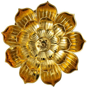    z_[ F CZXz_[ XeBbN^p CeAG  @  i ObY a_