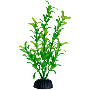  lH lHvc 20cm t pCAEg ANAEpi   CeA ANZT[ C~e[V 