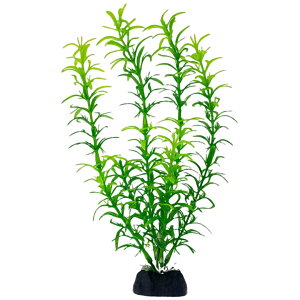  lH lHvc 20cm t pCAEg ANAEpi   CeA ANZT[ C~e[V 