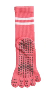  K\bNX 5{w\bNX w ~ߕt X|[c\bNX N[\bNX fB[X 5{wC Vv X|[eB C JWA  p wlp  