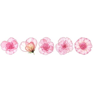  V[ XebJ[ 10Zbg  t[ 唻  ̊ R[W bsO fR  