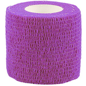  Lke[v  X|[c 2.5cm 5cm  w Œ  ֐ T|[ge[v nfBJbg  ^ X|[cPApi