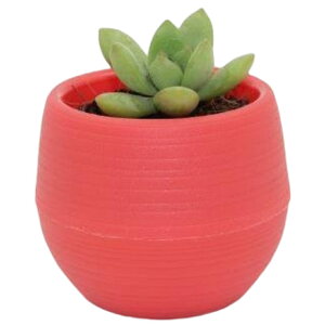 送料無料 植木鉢 フラワーポット 受け皿付き ミニ 無地 排水 盆栽 軽量 可愛い シンプル 室内 屋外 観葉植物 多肉植物 ガーデニング 園芸用品 インテリア雑貨 黄色 緑 青 赤 ローズ 白