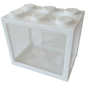  ~j  ubN^ S  ybgpi ANAE ^ _J Mы  킢 j[N CeA fBXvC  ybgObY