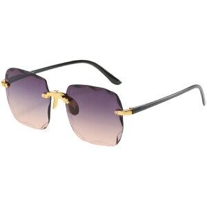  TOX fB[X  t@bV XNGA t[X Ȃ UV400 O΍ UVJbg n Of[V 