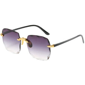  TOX fB[X  t@bV XNGA t[X Ȃ UV400 O΍ UVJbg n Of[V 