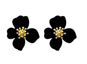  sAX fB[X p ANZT[ X^bhsAX Lb`sAX  nCrXJX t[ i  킢