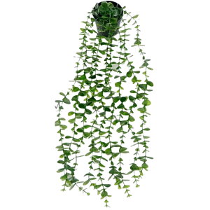  tFCNO[ lHϗtA    ݂艺 [t t   CeA Aؔ ͂Ȃ A  O rO  gC ʏ Q  