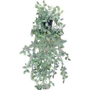  tFCNO[ lHϗtA    ݂艺 [t t   CeA Aؔ ͂Ȃ A  O rO  gC ʏ Q  